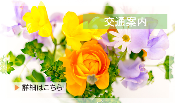 交通案内